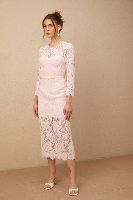 A pink midi dress with floral embroidery and lace detailing featuring embellishments and a feminine silhouette