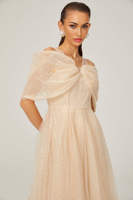 Danielle sequined tulle midi dress