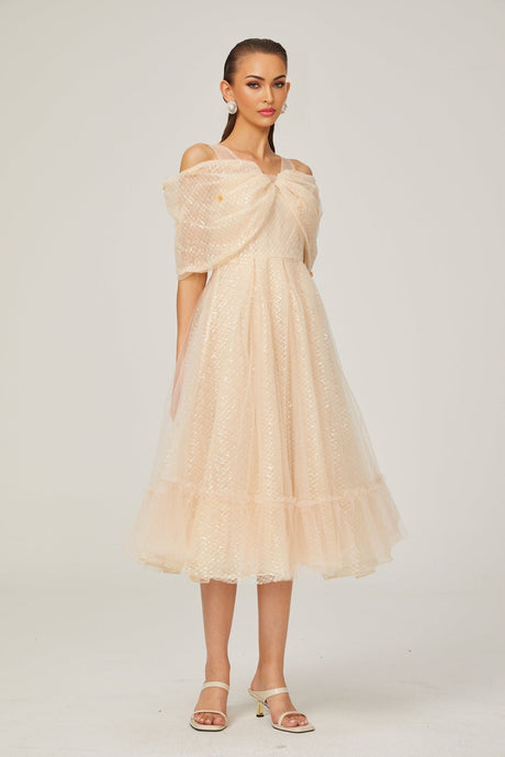 Danielle sequined tulle midi dress
