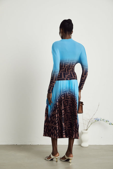 Désirée colorblock pleated top  skirt matching set
