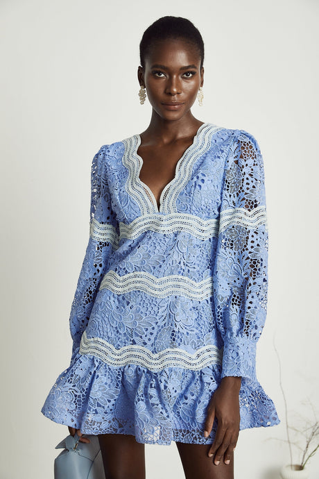 Gaëlle Vneck floral embroidered mini dress