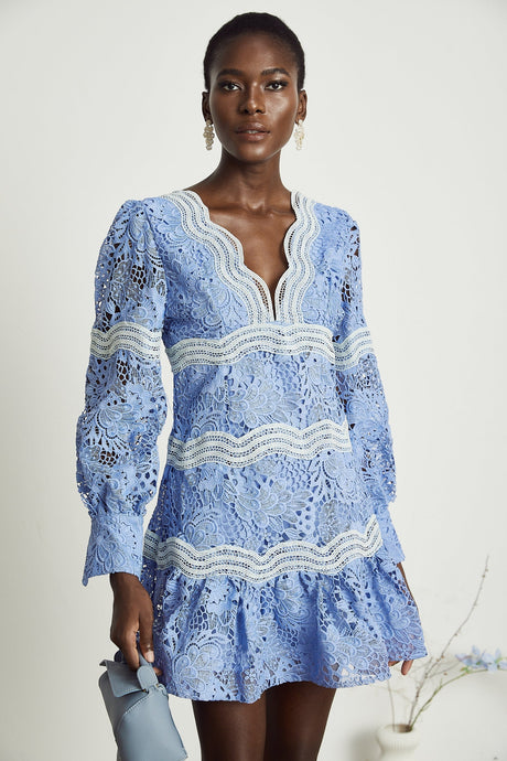 Gaëlle Vneck floral embroidered mini dress