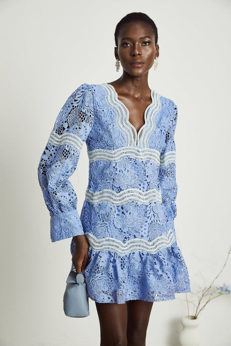 Gaëlle Vneck floral embroidered mini dress