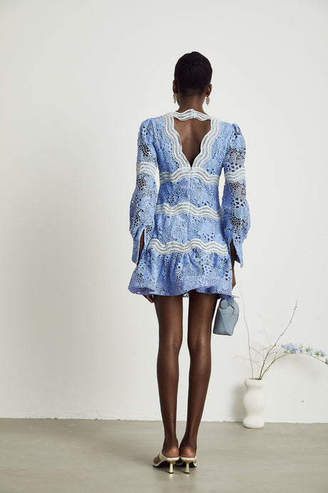 Gaëlle Vneck floral embroidered mini dress