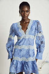 Gaëlle Vneck floral embroidered mini dress