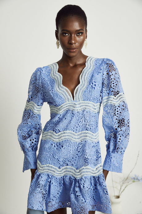 Gaëlle Vneck floral embroidered mini dress