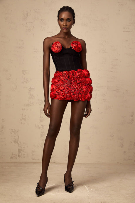 Red rose applique matching top and skirt set named Heloise